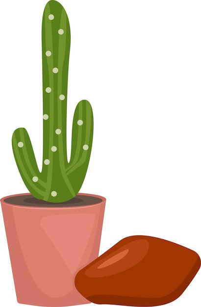 illustratie van cactus