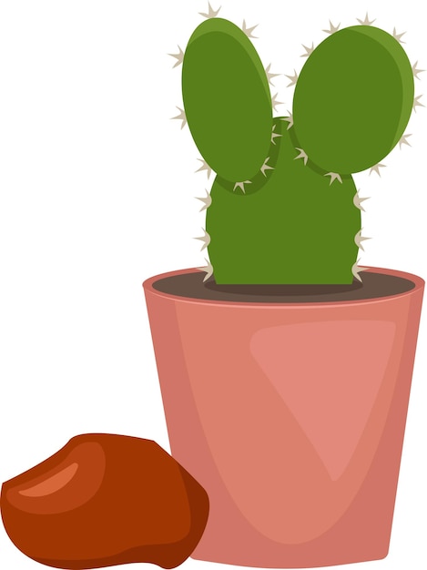 illustratie van cactus