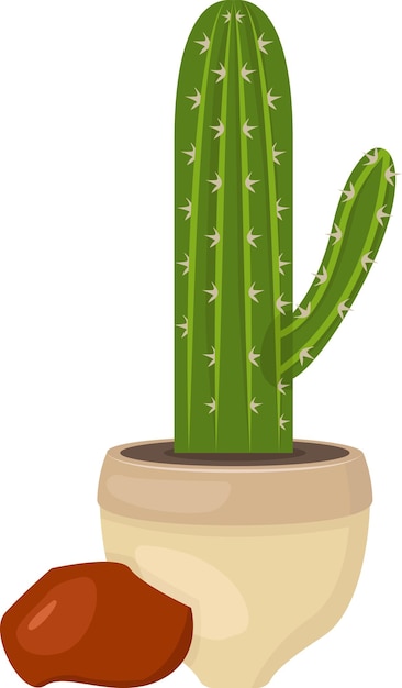 illustratie van cactus