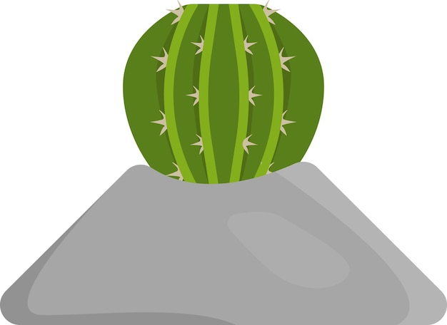 Vector illustratie van cactus