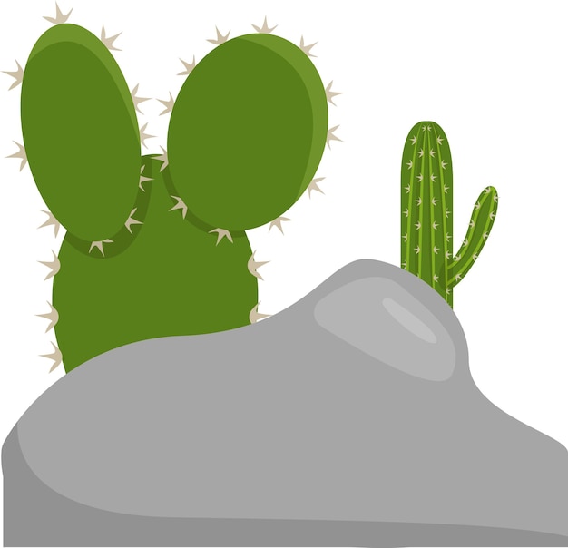 illustratie van cactus