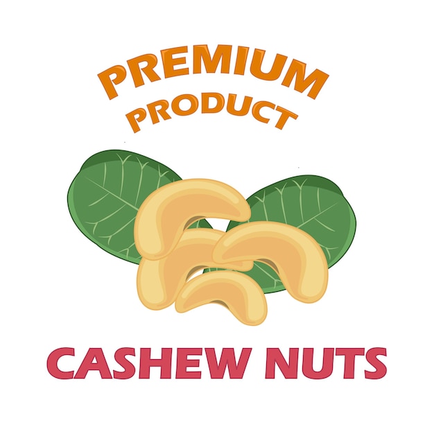 Illustratie van cashewnoten