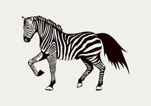 Vector illustratie van de benaming zebra