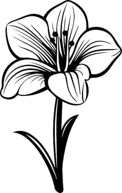 Vector illustratie van de bloem van de amaryllis