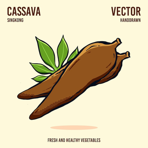 Illustratie van de cassava-vector