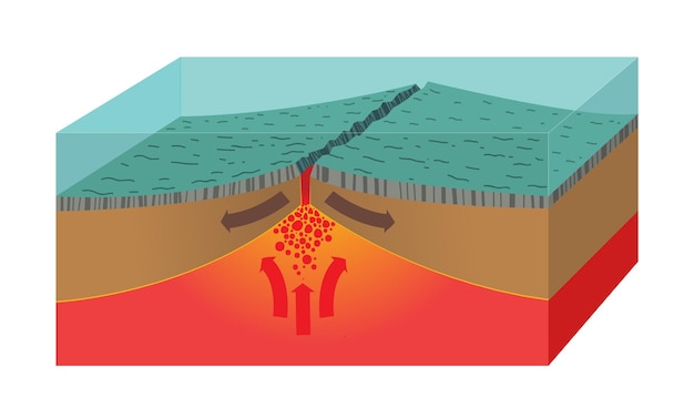 Illustratie van de dwarsdoorsnede van de oceaanrug