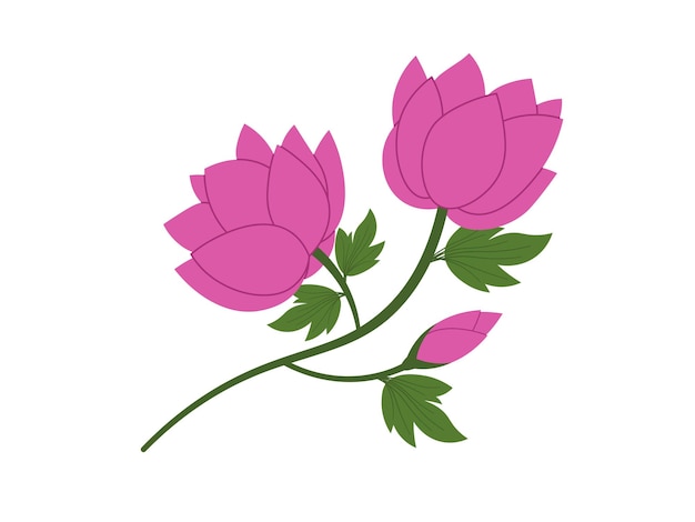 Vector illustratie van de lente-lotosbloesem