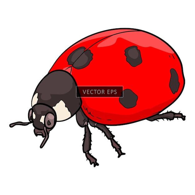 Vector illustratie van de vector van wilde dieren van het insect ladybug