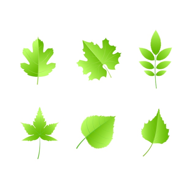 illustratie van de verzameling vectoren van de groene bladvector