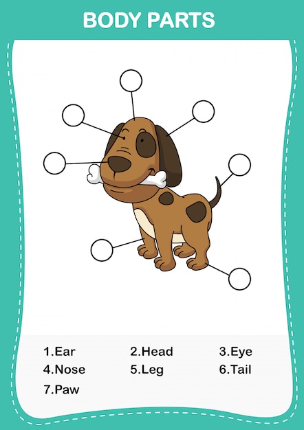 Illustratie van de woordenschat van de hond van het lichaam, schrijf het juiste aantal lichaamsdelen