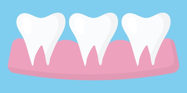 Illustratie van drie tanden in het tandvlees gezonde rechte tanden gezonde tanden concept