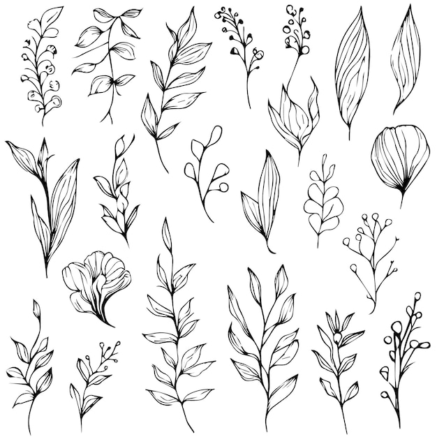 Vector illustratie van een botanische vector schets potlood kunst een collectie van handgetekende wilde bloemen set