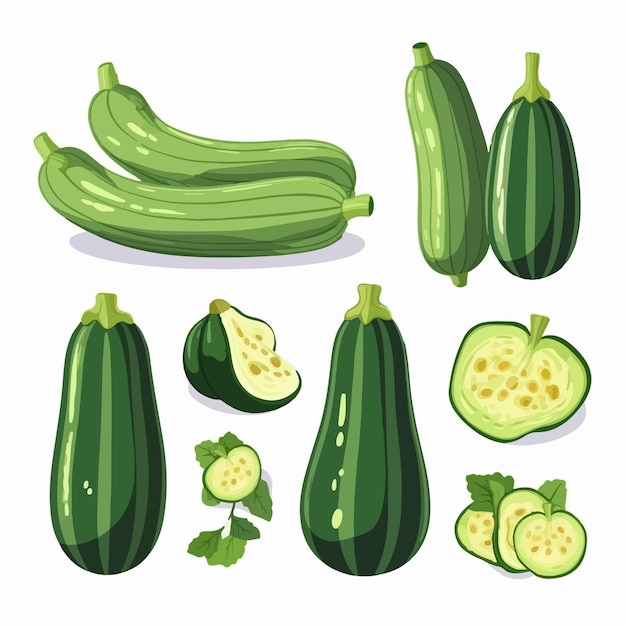 Illustratie van een courgette met een lintbanner