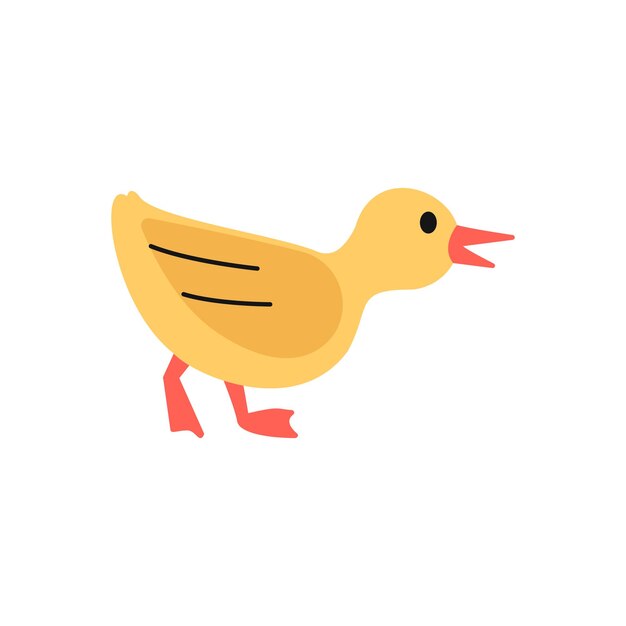 Illustratie van een eendje