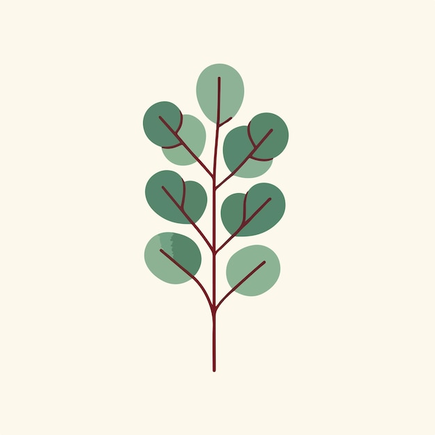 illustratie van een eucalyptustak
