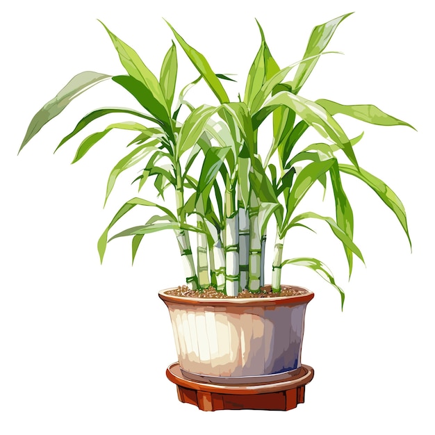 Illustratie van een groene plant in een pot op een witte achtergrond
