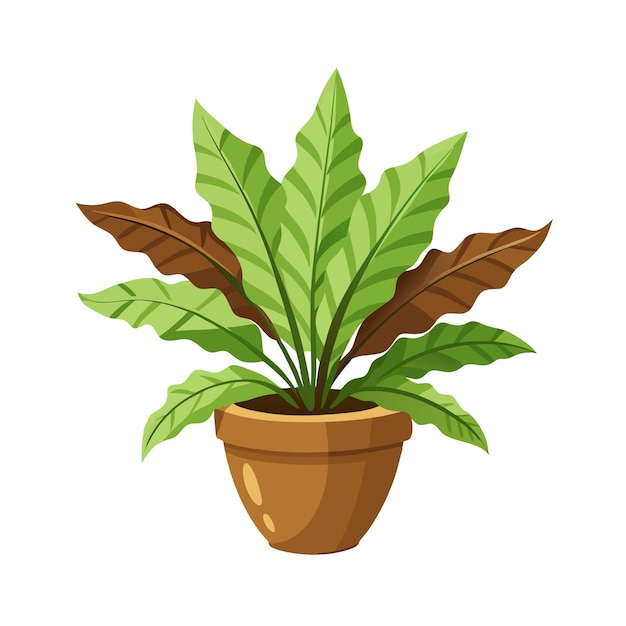 Illustratie van een kamerplant in een pot
