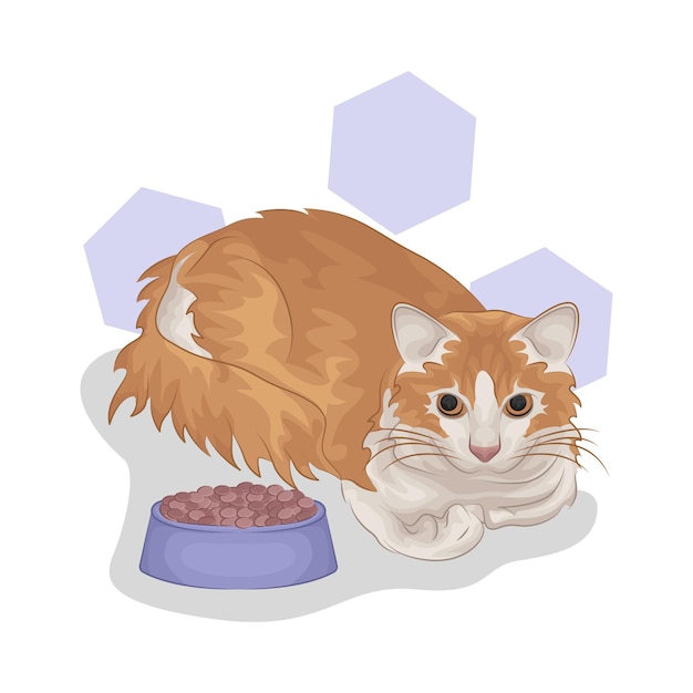 Vector illustratie van een kat