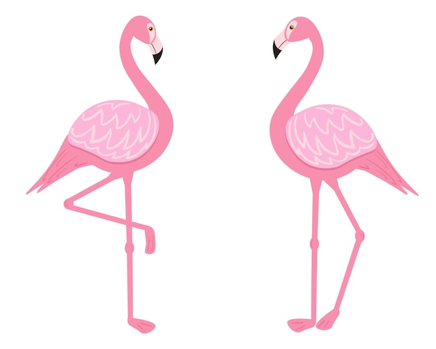 Illustratie van een paar flamingo's in een vlakke stijl Pink Flamingo