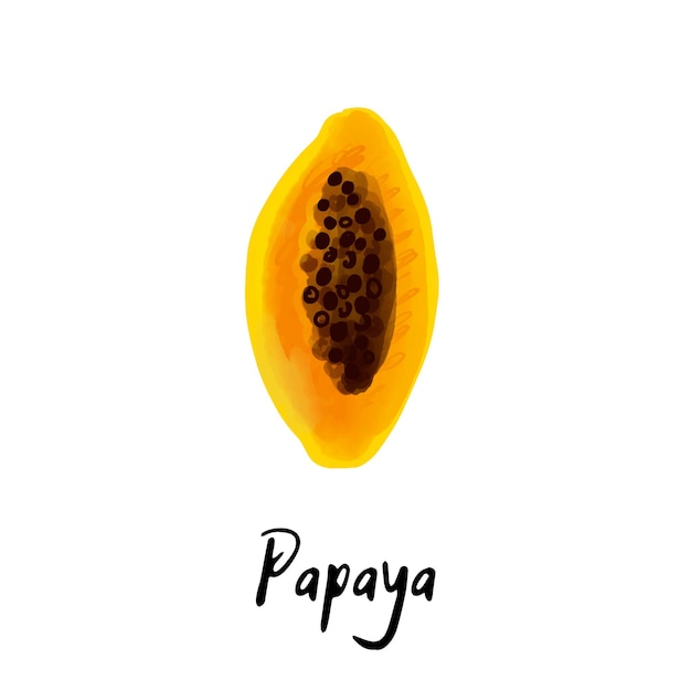 Illustratie van een papaya fruit geïsoleerd op een witte achtergrond