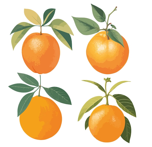 Illustratie van een uitstekend Oranje Fruit