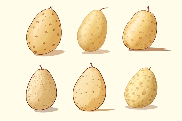 Illustratie van een uitstekende Aardappel