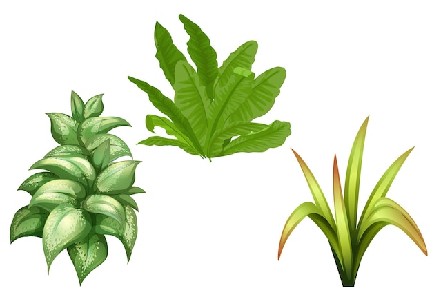 Illustratie van een verzameling soorten planten en bomen