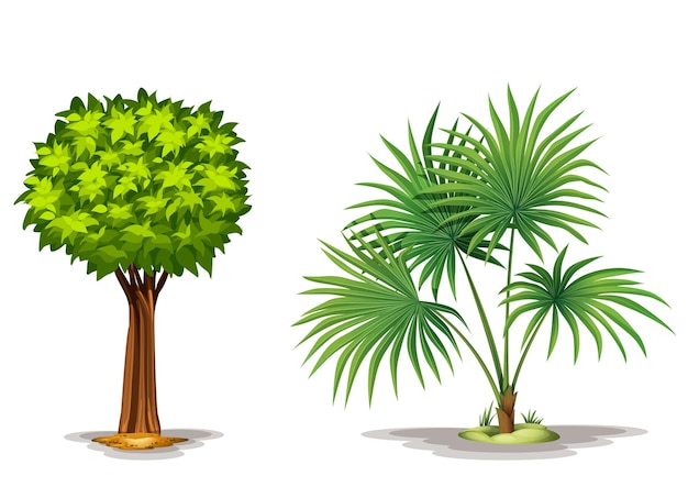 Illustratie van een verzameling soorten planten en bomen