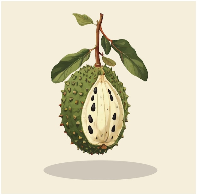 Vector illustratie van een zuurappelfruit 03