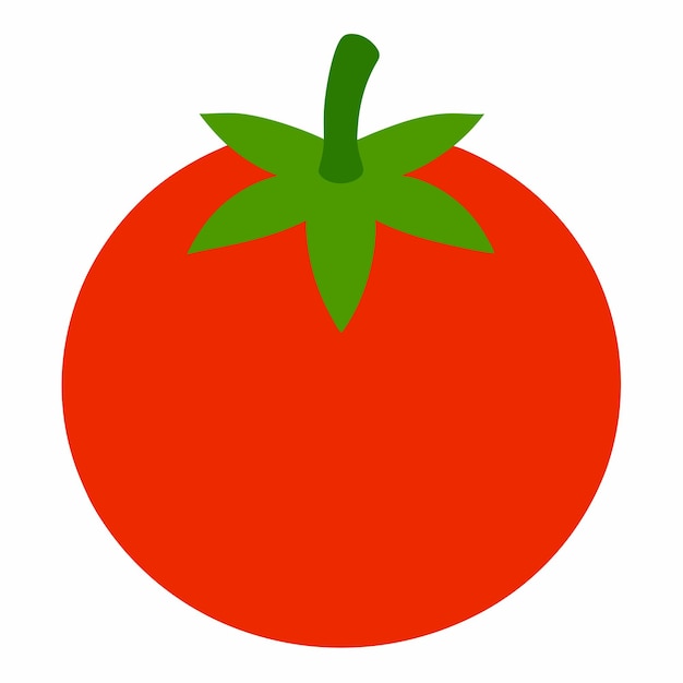 Illustratie van Fresh Tomato Vector