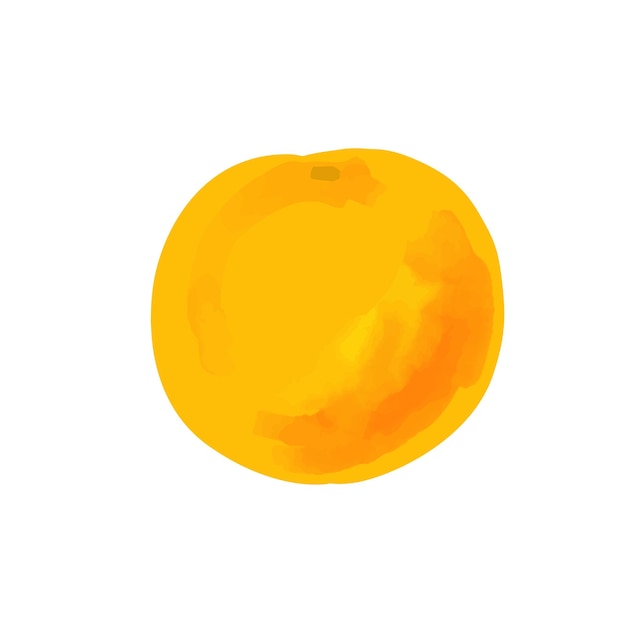 Illustratie van grapefruit in een aquarelstijl