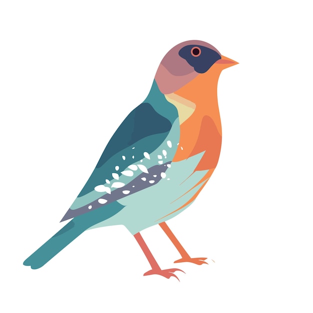 Vector illustratie van het concept van robin bird