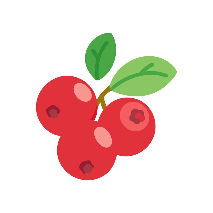 Vector illustratie van het concept van vers fruit