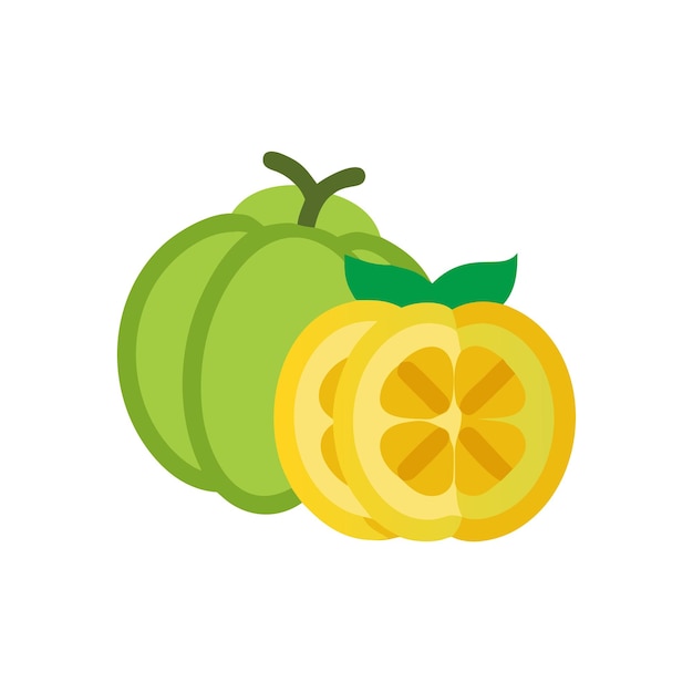 Illustratie van het concept van vers fruit