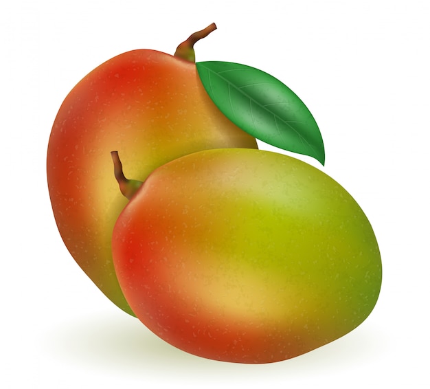 Illustratie van het mango de verse rijpe exotische fruit