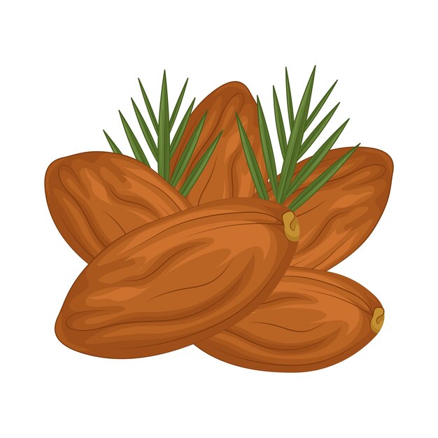 Illustratie van kurma
