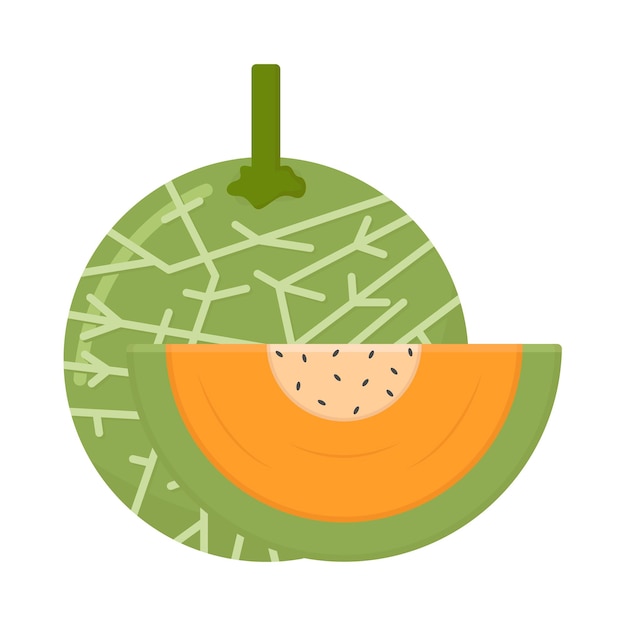 Illustratie van meloen