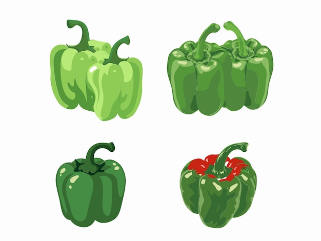 Vector illustratie van peper