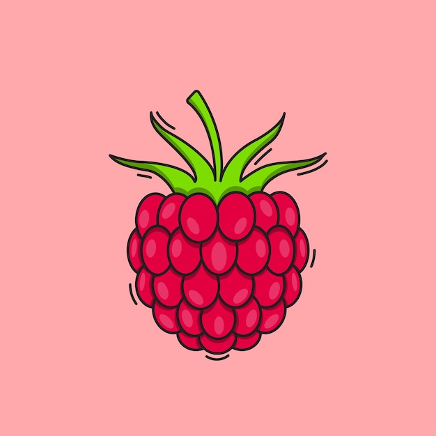 Illustratie van Raspberry Fruits Vector Raspberry Tekening