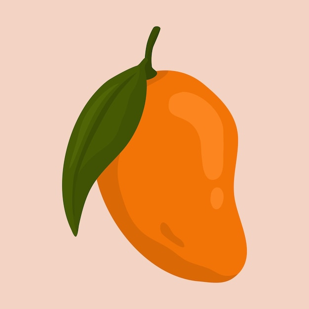 Vector illustratie van vers mangofruit