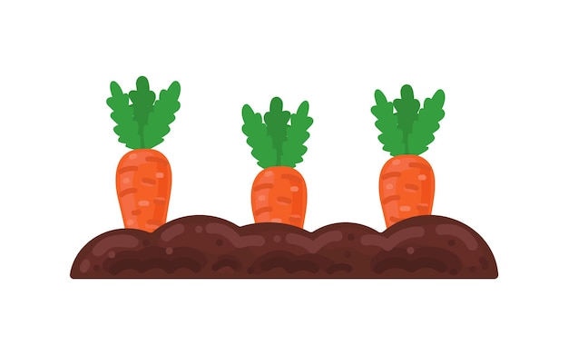 Illustratie van volwassen groeiende wortelen in de tuin op het tuinbed Vector op een witte achtergrond