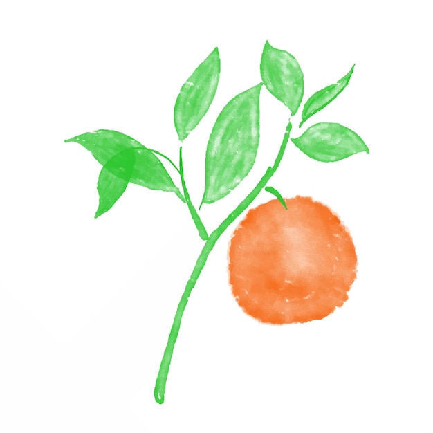 Illustratie Vector Oranje Aquarel Kleurrijke Concepten