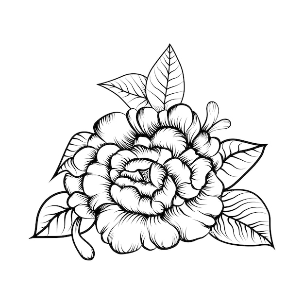 Illustratie vector van schetsen bloem kleurboek