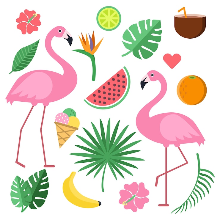 Vector illustraties met zomersymbolen. tropische vruchten en bloemen.