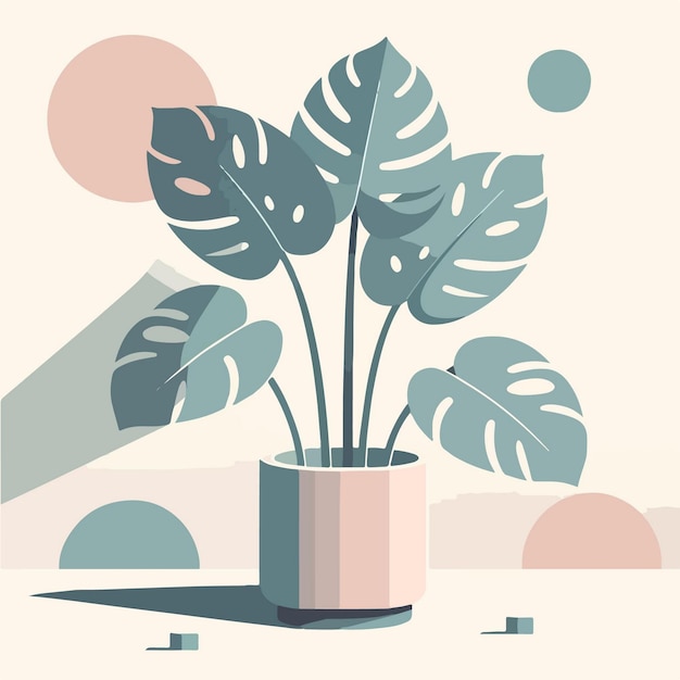 Vettore illustrazione estetica monstera shadowplay