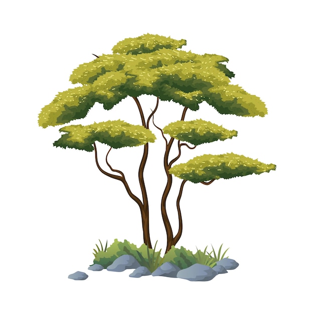 Vector illustration of african tree vector with white background