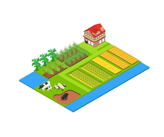 Иллюстрация карты сельского хозяйства и животноводства в изометрическом стиле