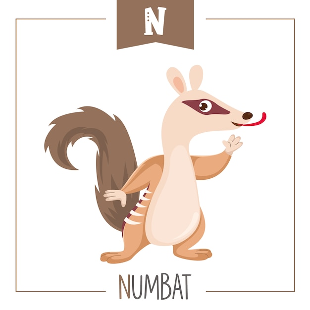 Illustration of alphabet letter n and numbat