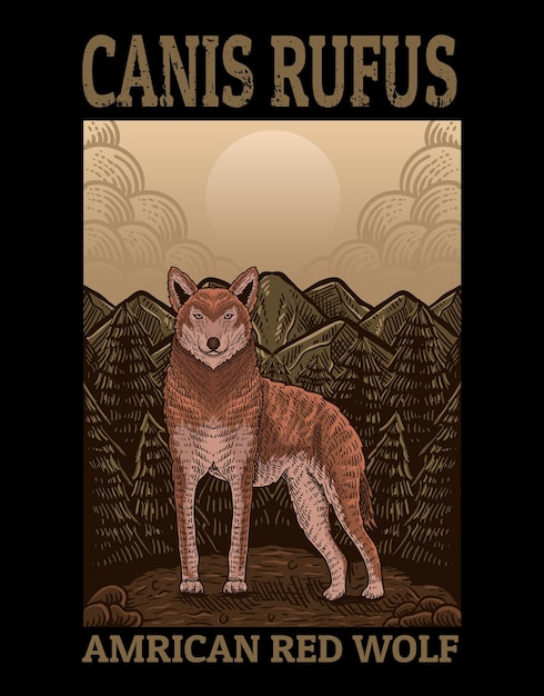 Illustration american red wolf with mountain