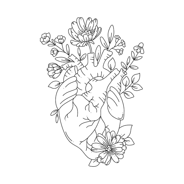 illustration anatomical heart with flowers